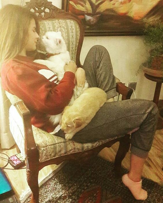 A Girl with white Cat Attitude Mood Dp