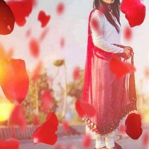 Red roses Background on Attitude Dps for whatsapp Download