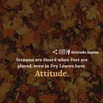 Attitude is everything quotes