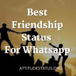 60+ Friendship Quotes