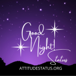 30+ Good Night status for your love ones